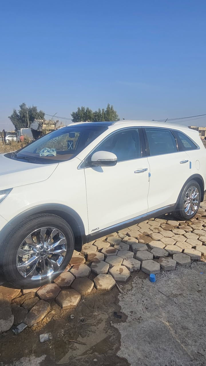 سورنتو خليجي 18 كفاله عامه
رقم بغداد
مواصفاته... فور ويل +تدفئه وتبريد بالكشنات +بنروما +4انظمه قياده +كافه المواصفات المعروفه عن السورنتو
ماشيه 149 كم حقيقي.... السعر المطلوب 255قفل 
باقي التفاصيل ***********
