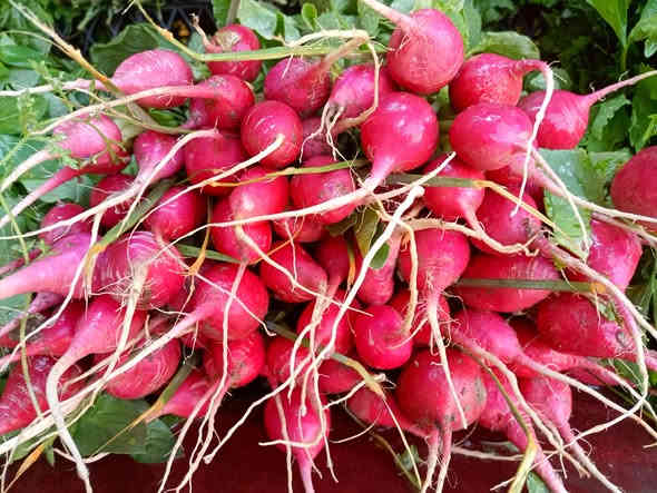 صلو على الحبيب قلبك يطيب

بسم الله ماشاء الله
خيرات اليوم السبت 2025/11/22

#يوجدلدينا #خدمة #توصيل #كافت #مناطق #ابوغريب

اتصل يوصلك طلبك اباب بيتك

الفرع الاول خرنابات شارع السچه 

***********///***********

#يوجدلدينا #دجاج #ذبح #عراقي

#اسعار #الخضراوات
فجل احمر 250
فجل ابيض 250
اشبنت 250
كزبره 250
حلبه 250
سلك 4/1000
اسبيناغ باكه 750
خضراوات مشكل  10/1000
طرشي امزيت منوع 5000
طرشي مشكل عادي 2500
طرشي عمبه كيلو 3000
خل اسود اصفر ابيض 1000
يتوفر لدينا جبن عرب كيلو 5000
