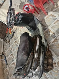 دولفين • بيها مجال