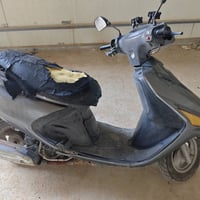 فراشه • نهضه • شغله بسيطه
