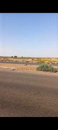 ارض للبيع • دونم للبيع • واسط الحي • اراضي استثمارية • موقع حيوي • قطع...