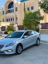 سلفري • ٢٠١٨ • دخول جديد