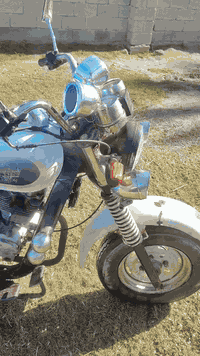 ستوته دايون • موديل 2014 • تواير جدد