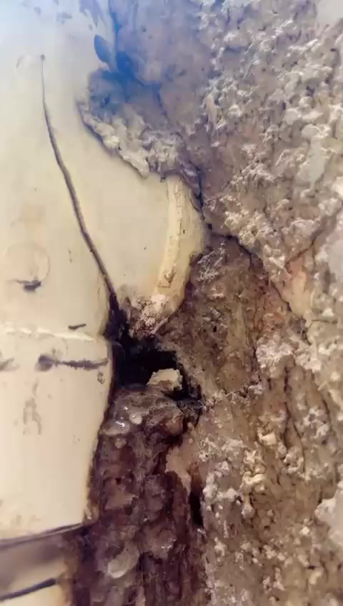 والرطوبة بأحدث الأجهزة 🛠️
هل تعاني من رطوبة الجدران؟ أو ارتفاع مفاجئ في فاتورة المياه؟ لا داعي للتكسير العشوائي وتشويه منزلك! 🏚️❌
نحن نوفر لك الحل الأمثل والأسرح باستخدام أحدث تقنيات السونار والكاميرات الحرارية للكشف عن:
✅ تسربات أنابيب الـ PPR والشبكات الداخلية.
✅ تحديد مكان الكسر بدقة متناهية خلف الجدران وتحت الأرضيات.
✅ معالجة الرطوبة والنشوز بأقل الخسائر.
👷‍♂️ بإدارة: أبو أمير
📍 خدمة سريعة واحترافية في جميع المناطق.
📞 للتواصل والاستفسار:
***********
***********
