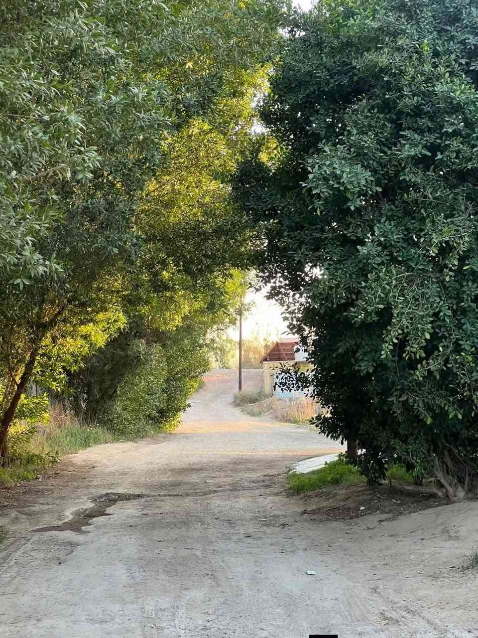 ‏يا الله 
السلام عليكم
يتوفر للبيع دونمين أرض طابو ملك صرف في المدائن – منطقة التويثة قرب شارع سيد علي بموقع ممتاز وقريب من الخدمات.
🔹 المساحة: دونمين كامل
🔹 يحتوي على بيت مساحة 350 متر
🔹 عدد الغرف: 6 غرف نوم
🔹 يوجد هيكل بناء نقص تشطيب مساحة 100 متر
🔹 يبعد فقط 70 متر عن السدة
🔹 المنطقة مخدومة بالكامل (ماء – كهرباء – شوارع مبلطة)
📍 موقع هادئ ومناسب للسكن أو الاستثمار.
📞 للاستفسار الاتصال. *********** ***********
