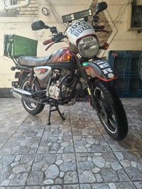 بوكسر جبلي • ٢٠٢٣ • مرقم عربي