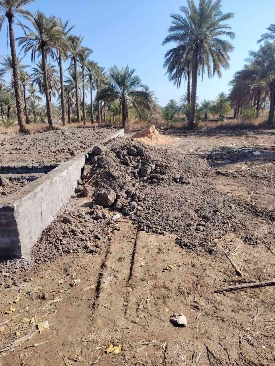 سلام عليكم اخوان نص قطعة للبيع زراعي قرب نبيل الجنابي السعر 8مليون ***********
