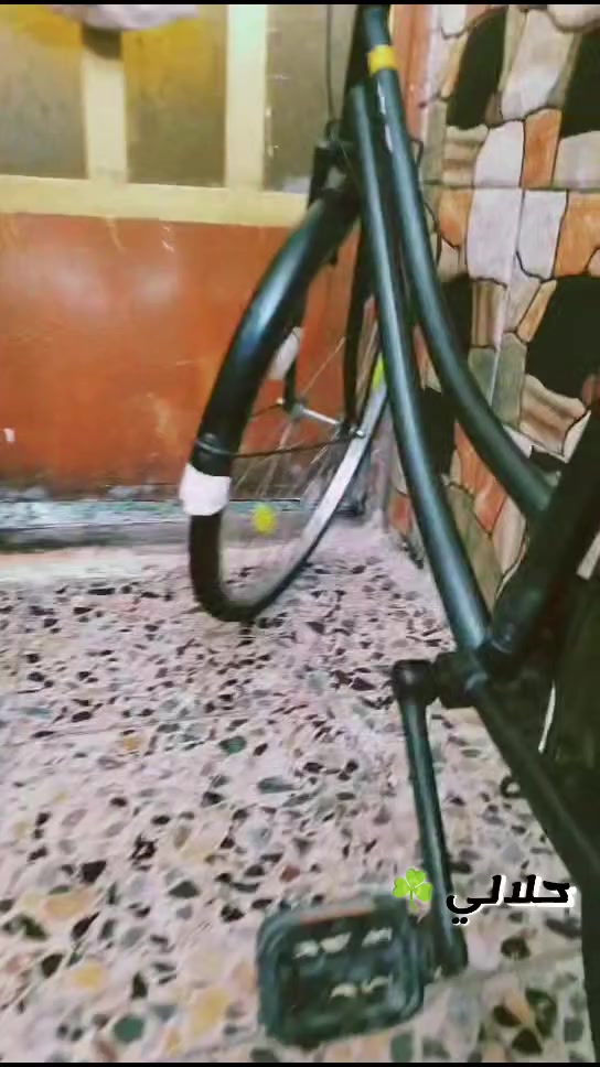 السلام عليكم بيسكل بناتي حجم 26 بيسكل نضيف السعر 110 وبي مجال بغداد مدينة الصدر


**إذا كنت صاحب هذا الإعلان وتريد حذفه لأي سبب، رجاءا أرسل رسالة إلى الدعم الفني**
