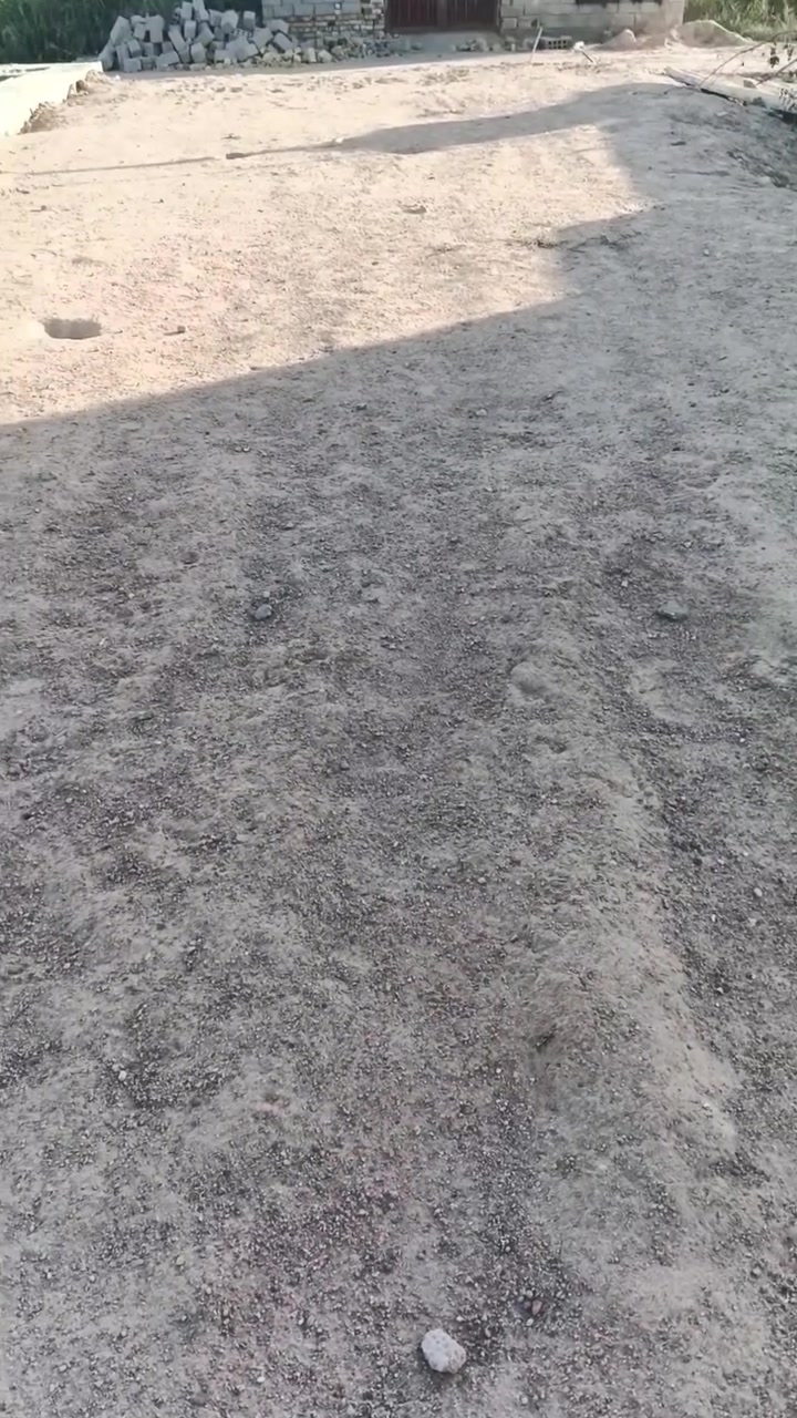 سلام عليكم عرصه للبيع طابو زراعي سند 25 قرب جسر عباسيه عله جهت لحريه تبعد عن جسر عباسيه ٥٠٠ متر  ماء وكهرباء وتبليط استفسار عله رقم ***********
