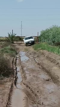 بيكم امريكي • ١٩٩٩ • محرك ياباني