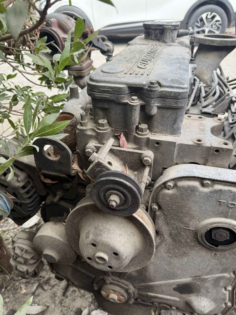 سلام عليكم مكاين عدد2 كمنز بيهن بخار بس ستندر مع تفرعاتهه كامله سعر 10 ورقات نهايتهن وحده بيه جعب كهربائي سوبر جديد
