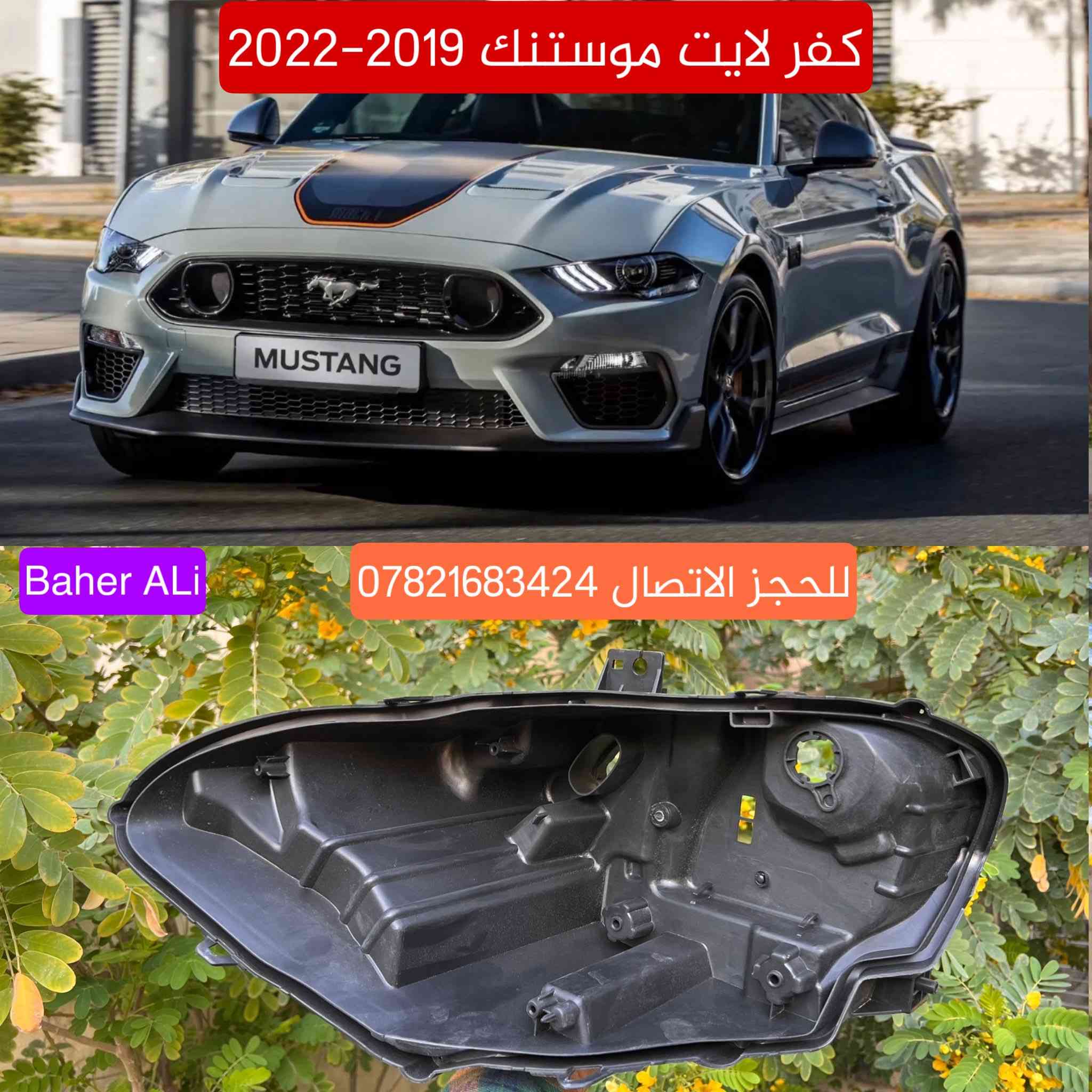 جام وظهر لايت موستنك من موديل 2010-2026

للحجز : *********** يوجد واتساب وجملة
