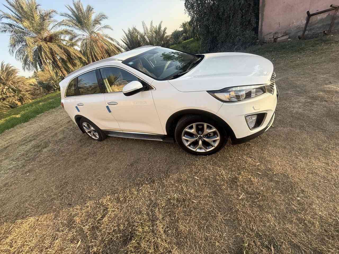 السلام عليكم 
سورنتو 18خليجي 6/كير محرك حداديه تبريد كفاله رقم بغداد سنوية جديده مشروع وطني مواصفات السياره بصمه أبواب كشنات جلد 7راكب 3قطع تبريد زراك لايت السعر 235وبيه مجال أو مراوس حسب القناعه مكان السياره ديوانيه ***********
