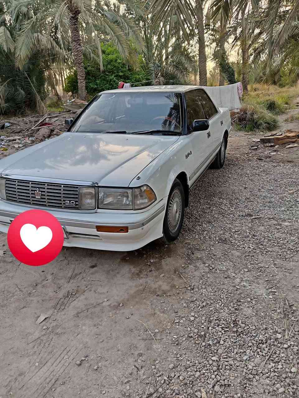 ادوات ادوات بدون كصه جاهزه مابيه اي نقص مكينه كير ٢ونص حداديه طخم تاير صار يومين من شاده كهربائيات مكاني ناصريه سوق شيوخ سعر ٢٠ هاتف ***********
