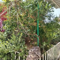 نزلة ام الهوش • ٢٥٠م • غرفتين