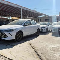 ٢٠٢٥ • ابيض • داخل زيتوني