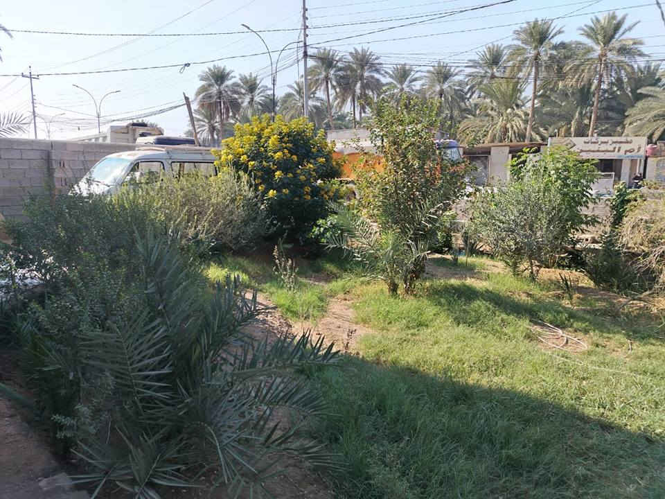 قطعة مساحة 1100 متر مع دار سكن مساحة 175متر  مع باتلو بنفس خارطة البيت والمتبقي حديقة مثمرة متنوعة الأشجار مفوض بالطابو سند 25 في منطقة الإبراهيمية / بزل مطشر مباشرة على الشارع الرئيسي السايدين واجهة القطعة تجارية 26 متر مع كافة الخدمات. 
الاتصال ***********
           ***********
           *********** كربلاء, العراق
