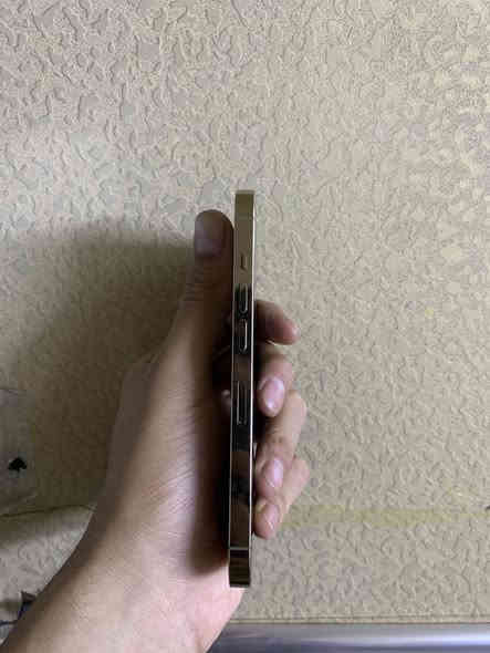 ايفون  13برو سعر 375 الف 
الجهاز نضيف 
ألون ذهبي
ذاكرة 128
نضافه  99
بطاريه 80 اصيله ما مبدله
نموذج M/LL
شاشه اصليه 3خيارات اصليه ما مبدله 
جهاز كله شغال 
جهاز وتر بروف
فيس ايدي شغال 
فقط شريحه متوقفه 
السعر المطلوب 375
مكاني بغداد البياع 
رقمي ***********
