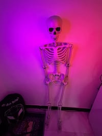 هيكل عضمي • ١٦٥سم • مفاصل متحركة