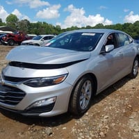 ماليبو • ٢٠١٩ • ديالى جلولاء