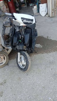 فراشه