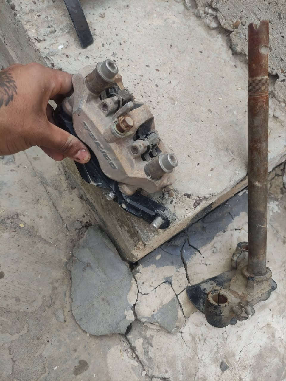 كلمن وسعره توصل خاص


**إذا كنت صاحب هذا الإعلان وتريد حذفه لأي سبب، رجاءا أرسل رسالة إلى الدعم الفني**