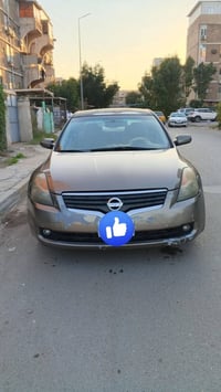 التيما • ٢٠٠٨ • وارد امريكي