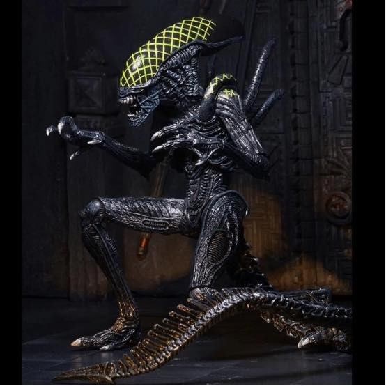 السعر 25


**إذا كنت صاحب هذا الإعلان وتريد حذفه لأي سبب، رجاءا أرسل رسالة إلى الدعم الفني**