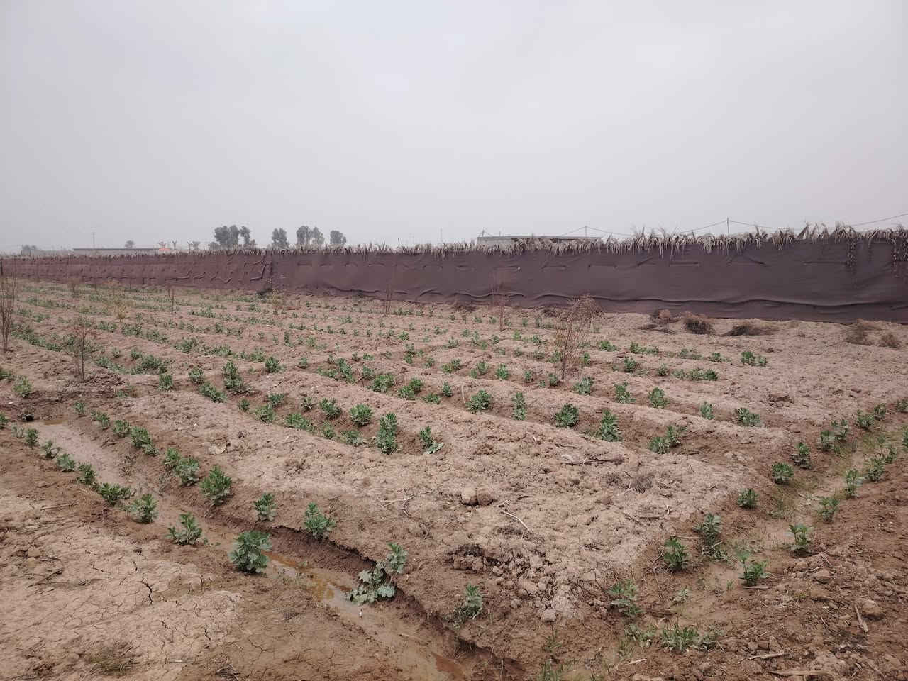 سلام عليكم
أرض زراعيه للبيع
الموقع صلاح الدين قضاء بلد بين مدخل 2 ومدخل 3
تفاصيل الأرض
جنس طابو زراعي سند ٢٥
المساحه ٤٠٠٠ متر
الواجهه ٣٣ متر
النزال ١٢٠ متر
مزروعه حمضيات
خدمات كهرباء ماء بئر
للاستفسار الاتصال على الأرقام التاليه
***********
***********
او مراجعة مكتب التمار للعقار الواقع شارع المحطه محلات الحاج عدنان
