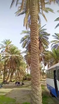 البيع بدون مكينه كايمه ومفصخه السعر 3 ملاين 07732472492   07883694317 ...