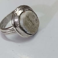 عطف قديم • سعر خاص