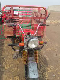 ستوته • مديل ٢٠١٩ • بدون أوراق