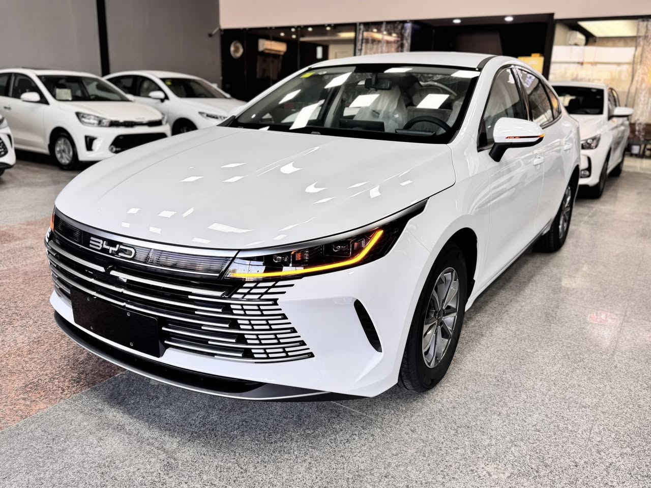 بي واي دي  BYD DESTROYER 05 2025.
رەنگی.سپی. ..بەردەستە 
مواصفات.کارەبایی و بەنزین و هایبريد.
شاشە تێسلا.بصمة شاشةوكاميرا ویل کەپ.
تحديد سورعه.پشت و پێش لید ڤۆلیۆم
 کارت و وایەر شحنی لەگەڵە.
كەمترین .سعر.125$🔥🔥
   مۆبایل  ***********
  مکان.اربیل . 100م .معرض تۆپ کارس
