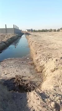 كرمت علي صفحت الخيط • ٢٥٠٠م • قرب السدة العالية ٢٠٠م