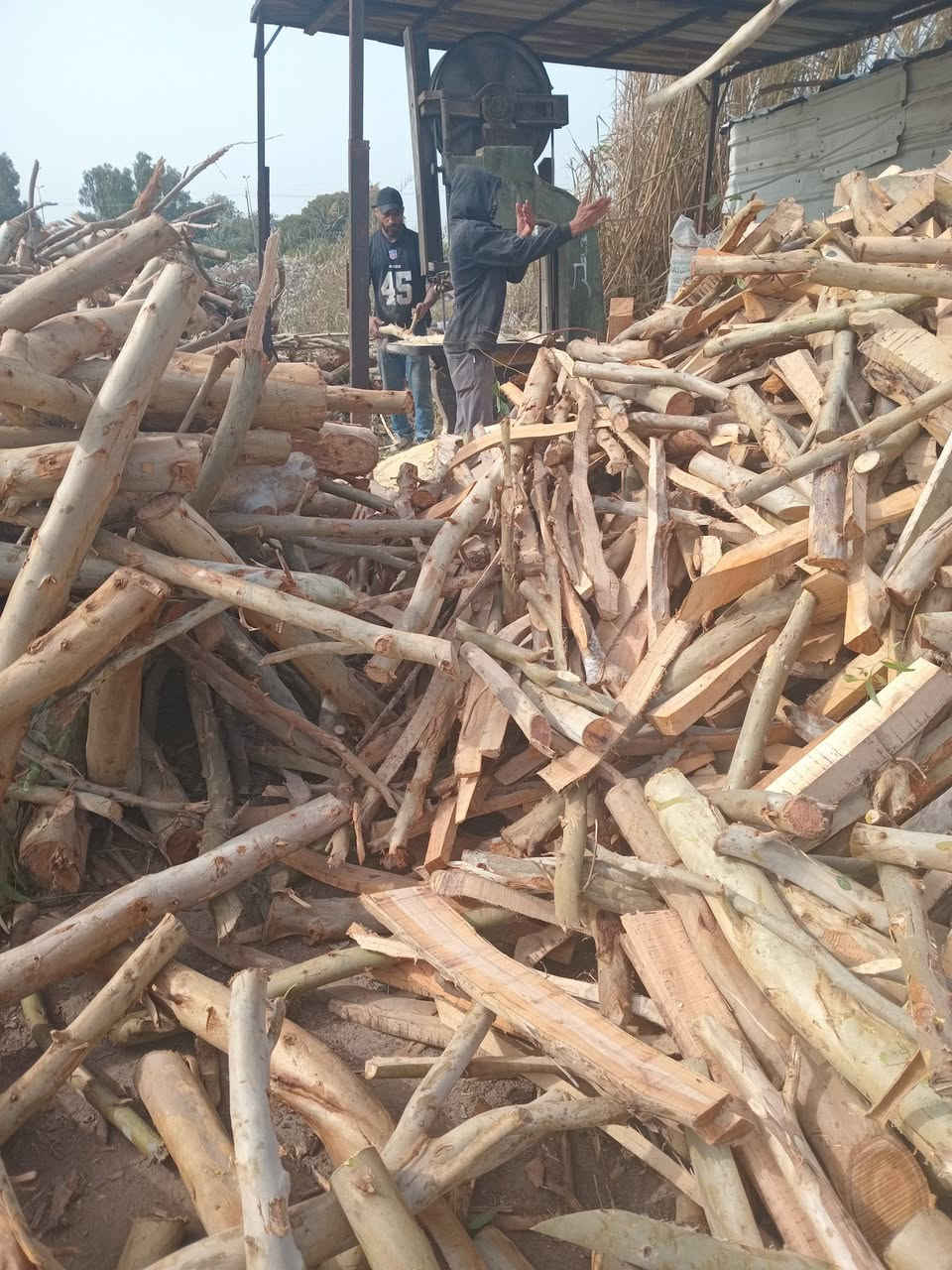 السلام عليكم لدينا انواع الحطب الشوي حطب مندي ومال سمج يتوفر من طن وما فوق ويوجود خدمة توصيل إلى جميع المحافظات للحجز والاستفسار الاتصال على الرقم الخاص للمبيعات ومتوفر واتساب/***********
