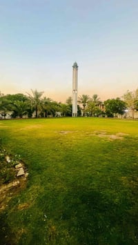 ترتيب الحديقة • قص الأشجار • جاهزين