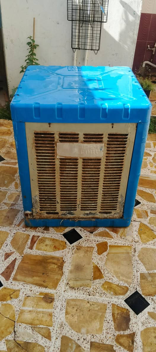 كشر مبرده كلش نضيف وحته ليف بيها عايزها ماطور وسعره مناسب جدا الحجم الكبير


**إذا كنت صاحب هذا الإعلان وتريد حذفه لأي سبب، رجاءا أرسل رسالة إلى الدعم الفني**