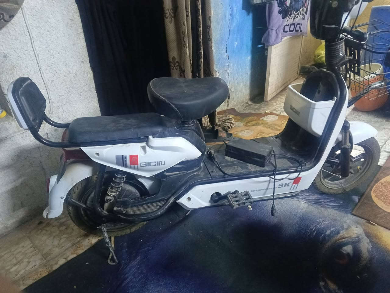 السلام عليكم دراجة شحن اشتريتهةً جديدة طفت ماعرف شبيهة عطل بصيط كلهة شغالة مكاني بغداد مدينة الصدر السعر 200وبيهة مجال قليل شراي ادخل مو شراي لتعبني 🤍💁🏿‍♂️


**إذا كنت صاحب هذا الإعلان وتريد حذفه لأي سبب، رجاءا أرسل رسالة إلى الدعم الفني**