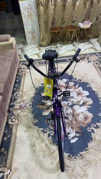 باسكل • ٢٦ • بصره