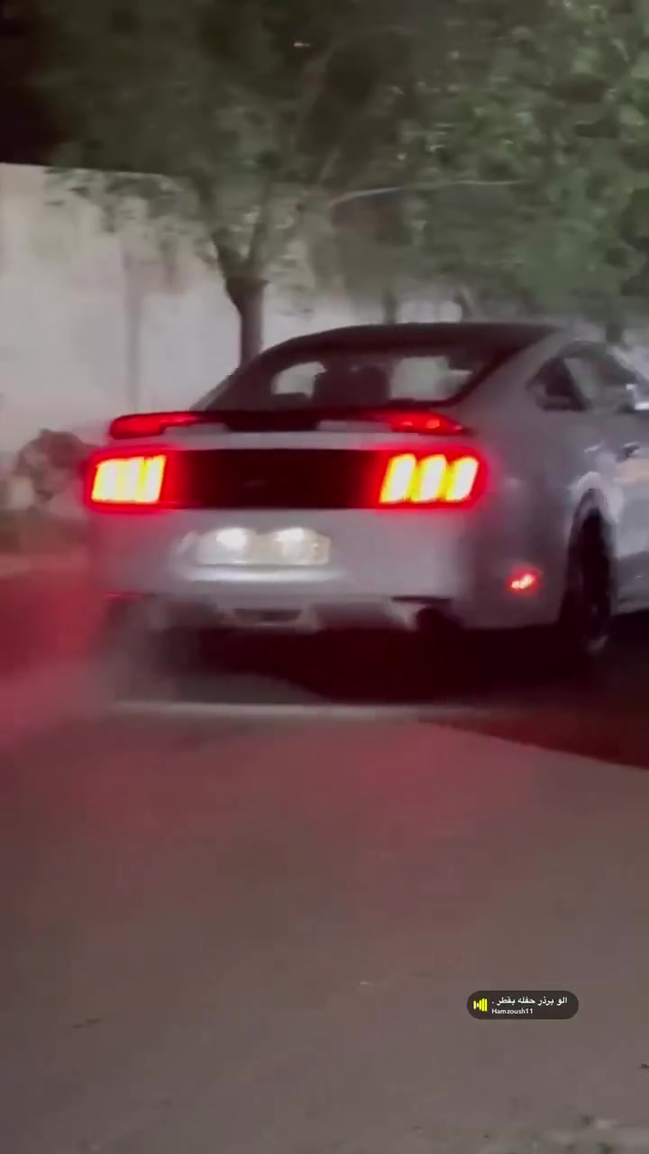 سلام وعليكم حبايب

سيارتي للبيع او مراوس بكورلا هايبرد حصرا

فورد موستنك v6 3.7 
موديل2015 اوتو
ماشية97 ميل

الاضافات:
دوشمة حسين شمارة كشنات برتقالي مميزة
سبويلرGt350
شاشة اندرويد
قبضة كير عادي
قمارة تغليف اسود 
وسقف كنتارة 
برمجة البطل مصطفى ايكل
طلقات وكتوف 
عليها وسطياتSLP
تفريغ

السيارة حيل حلوة ونضيفة ومصروف عليها
تايرات جديدة امامي خلفي
صدر خلفي جديد 
تحكمات ستيرن 
ولا كلوب مشتغل بالدشبول 
ترايك وين ميعجبك
رقم دهوك بأسمي
تجي وتشوف السيارة وتشلع عيوني واكسبك اخ وصديق قبل كلشي 

حادثها بنيد وجاملغ ايمن وباب ايمن تبديل 
نقصها فقط الصدر الامامي شغلات بسيطة 
السعر: 140 وبيها مجال
للاستفسار: ***********
