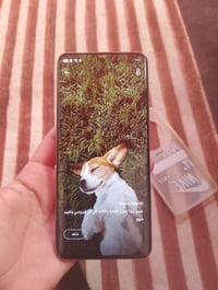 ريلمي 13 برو بلاس • ٥١٢ • رام ١٦