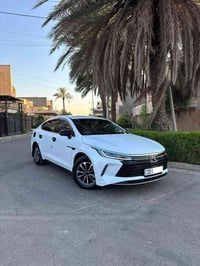دسروير • ٢٠٢٥ • رقم اربيل
