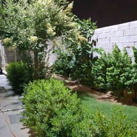 الزبير • ٥٠٠م • ٢ ماستر