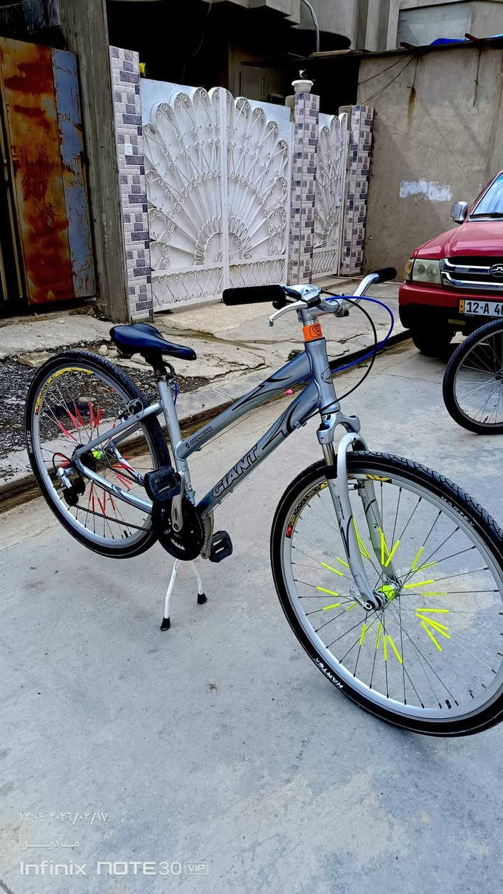 Giant Cypress
للبيع بسعر مناسب مكان الموصل


**إذا كنت صاحب هذا الإعلان وتريد حذفه لأي سبب، رجاءا أرسل رسالة إلى الدعم الفني**