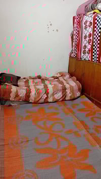 حي اور الشيشان • ٥٠م • سند اصولي