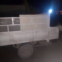 ستوته فحل للبيع اكسل كبس السعر 350 مابيه كهربايت الاستفسار 07816530543