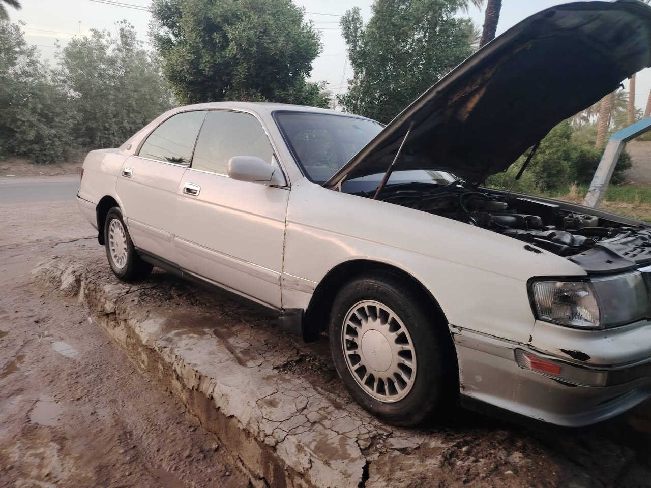 لسعر ﴿42﴾ وبيها مجال 🌹
الاتصال ***********

بطه موديل ﴿٩٤﴾رقم نجف دولي    بسمي تحويل ثاني يوم  سنويه لغايه2027

مكينه وكير وحداديه جديده تخم تاير جديد غرفه جديده كلش كهربائيات كلها شغاله  

ملاحظه مكفوله من الكص والنقل جثه  والضربه 
 

السياره جديده كلش ومال جناي 

مكان السياره كوفه علوه الفحل
