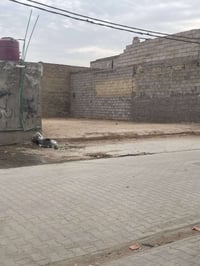 الكوفه الصوب الصغير • ١٥١م • طابو