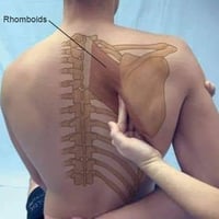 ⚠️ ضغط الأعصاب في الرقبة  الكثير من الأشخاص يعانون من ألم في الرقبة أو...