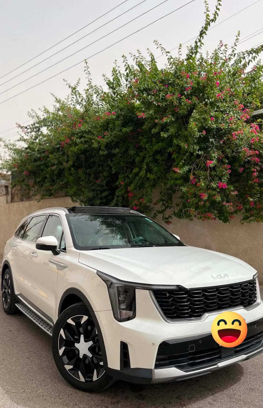 سورنتو. ٢٤.  نص فول.  مكفوله.  ماشيه. ٢٨.  مقلفه نانو بلكامل.   ***********
